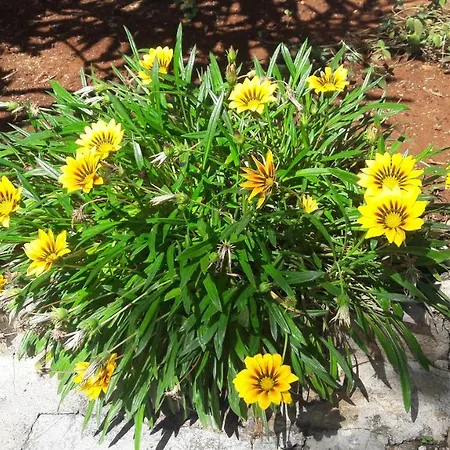 Apartamento Apartman-maja-krk