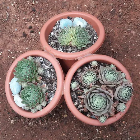 Apartman-maja-krk * Krk Town