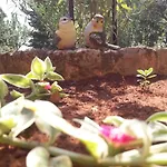 Διαμέρισμα Apartman-maja-krk Krk Town