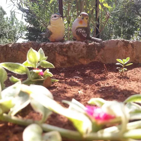 Apartment Apartman-maja-krk Krk Town